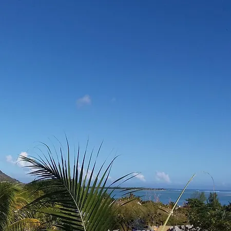 21Lg Le Morne View Apartment La Gaulette Exterior photo